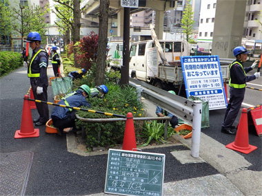 低木刈込・除草